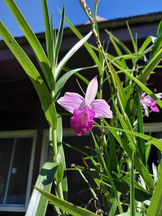 Villa Suhr Cabanas 프라이아도로사 외부 사진